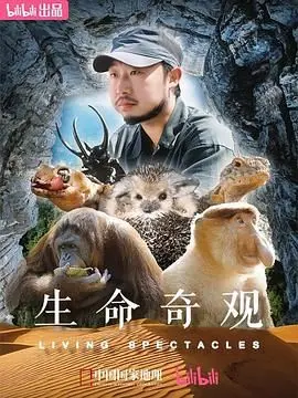 《生命奇观》：BBC 史诗级自然纪录片，震撼心灵的生命礼赞！