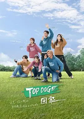 揭秘《TOP DOG》：办公室权力斗争与情感深渊的惊险之旅
