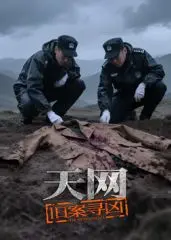 《天网：旧案寻凶》：AI破案，科技与人性的终极较量！尘封悬案能否在AI的帮助下水落石出？