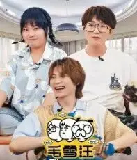 《毛雪汪 加更版》：温情脉脉的日常生活观察，毛不易的治愈系陪伴，让你笑中带泪！